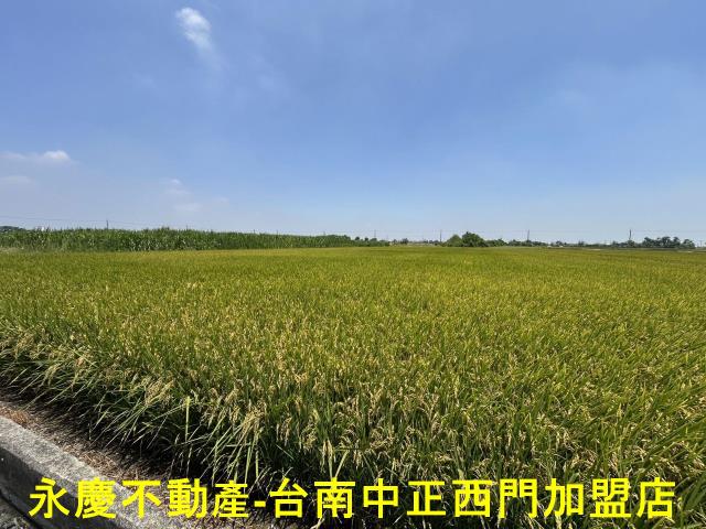 台南柳營農地-1