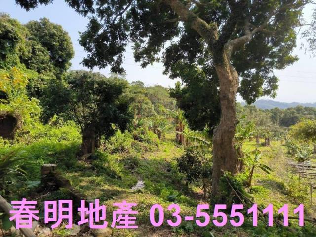 監理站旁漂亮方正工業地工業地廠房買賣租賃