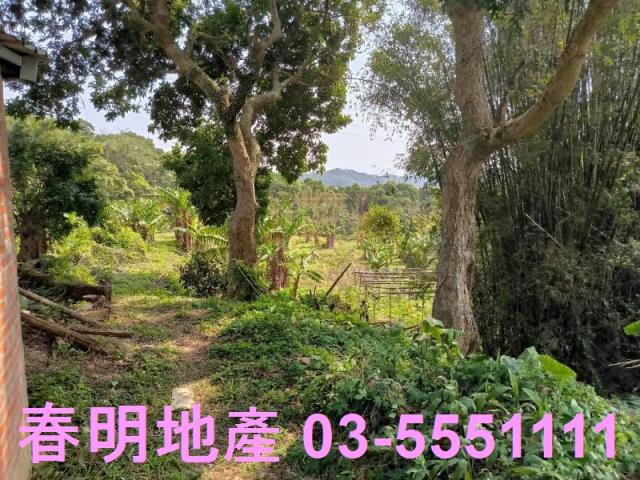 新竹竹東工業地-4