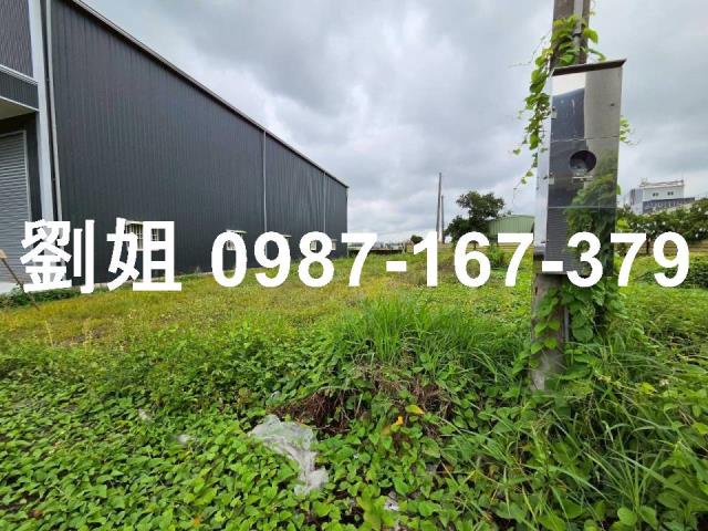 湖內農地-1