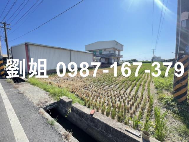 橋頭農地-1