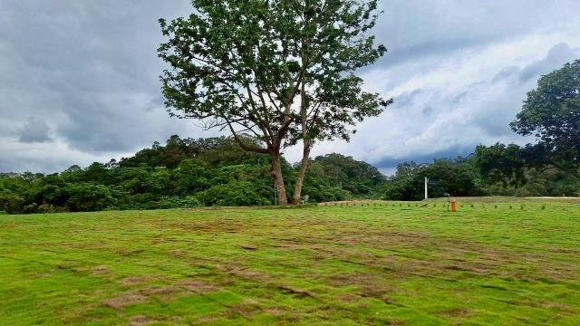 寶山土地寶山林地