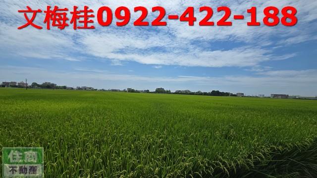 宜蘭農地-0