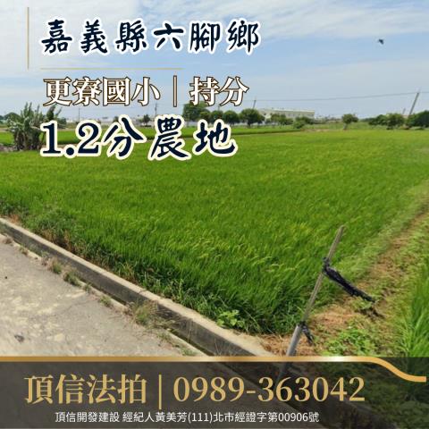 嘉義農地法拍-0
