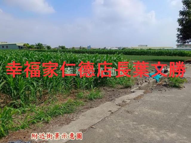 台南安定農地-11