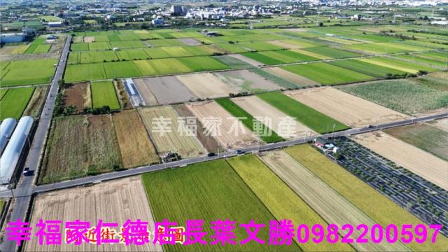 台南佳里農地-11