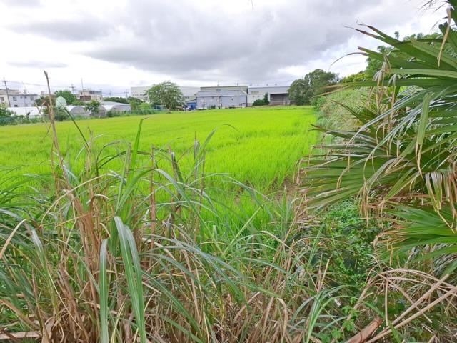 桃園楊梅農地-3
