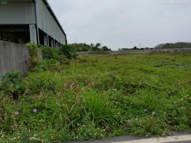 高雄仁武農地-3