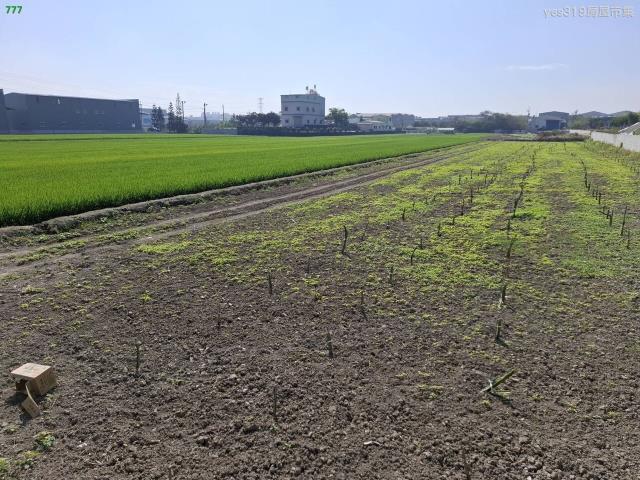 高雄鳥松農地-0