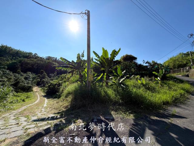 台南新化林地-2
