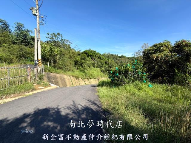 台南新化林地-3