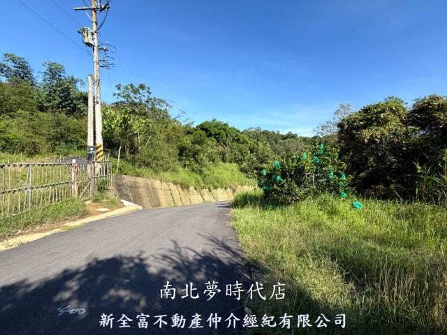 台南新化林地-4