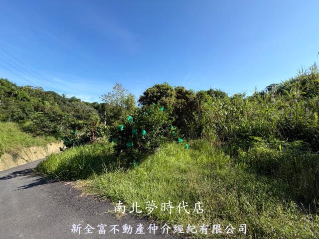台南新化林地-5