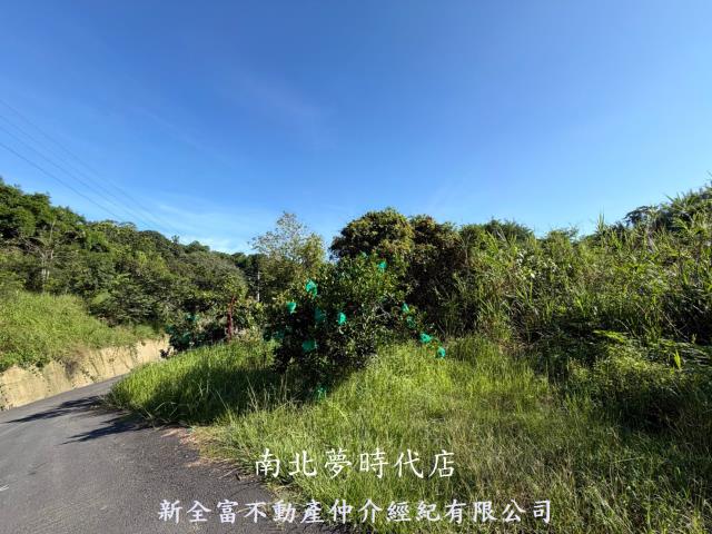 台南新化林地-7