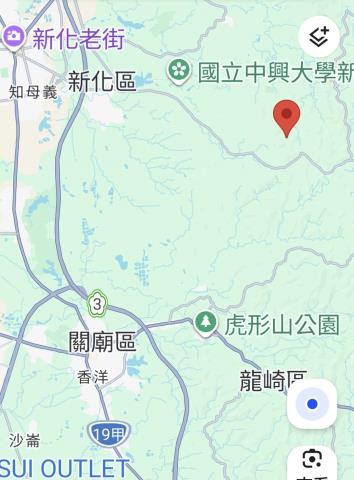 新化林地-12