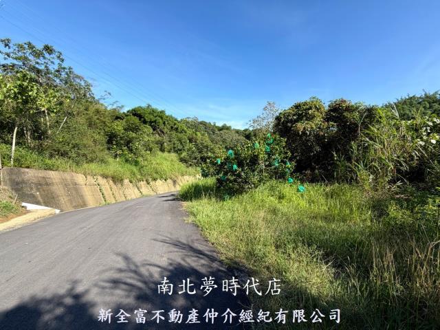 新化林地-6