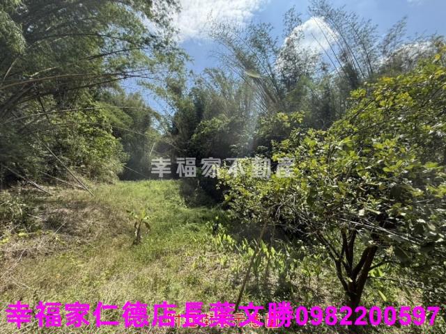 玉井農地-7