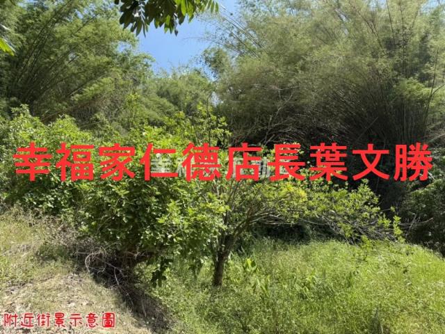 玉井農地-10