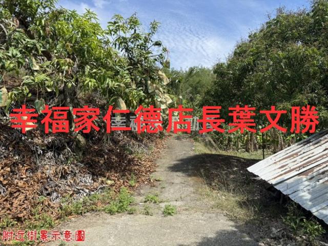玉井農地-13