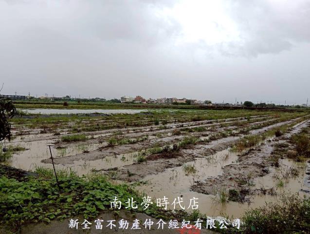 鹽水農地-0