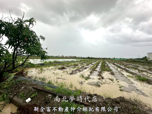 鹽水農地-1