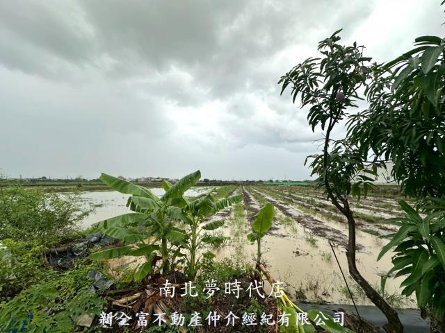 鹽水農地-2