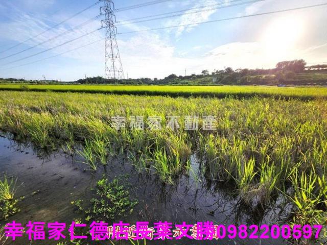 台南農地-1