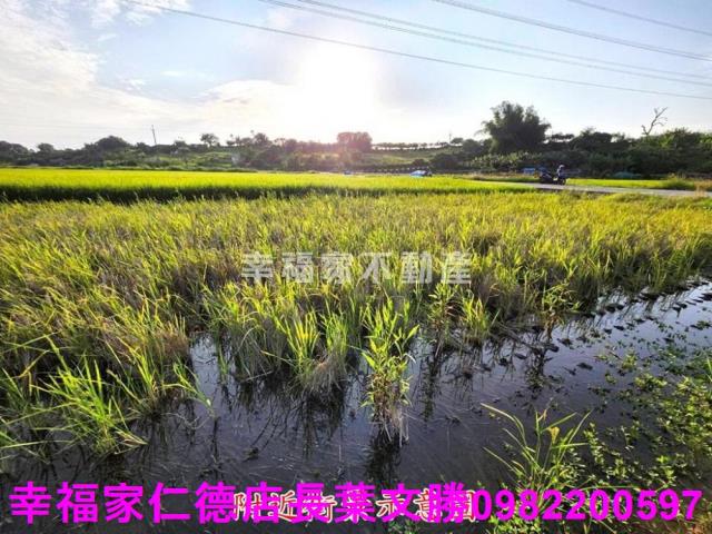 台南農地-3
