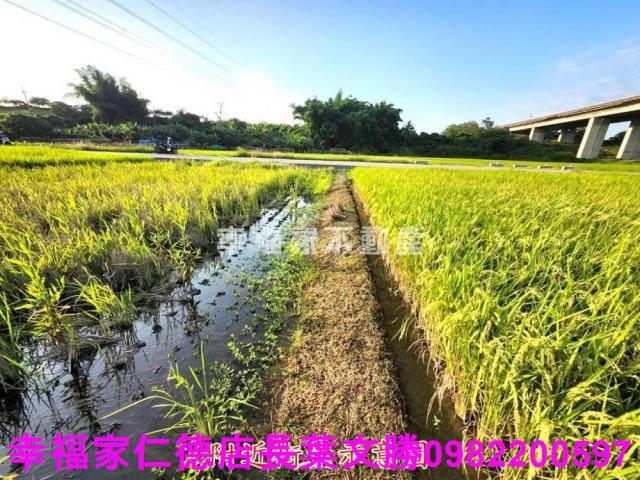 台南農地-6
