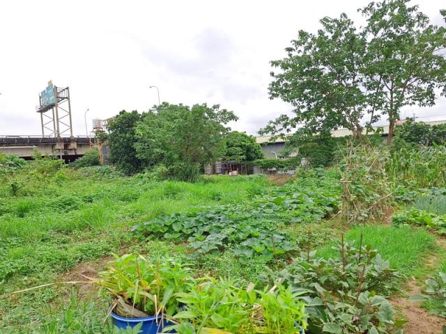 桃園法拍農地-3