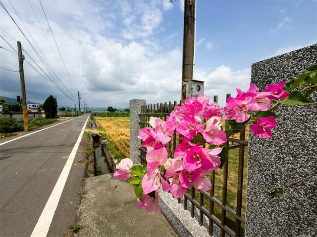 高雄美濃農地-4