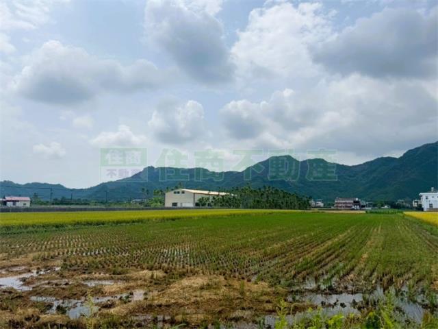 高雄美濃農地-6