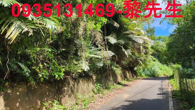 芎林林地-4