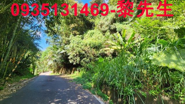 芎林林地-8