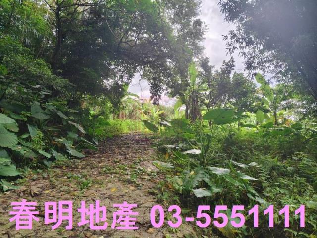 關西農地-3