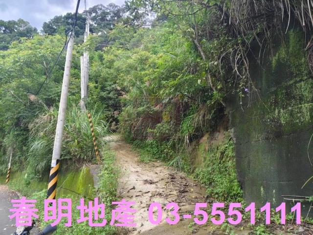 關西農地-4
