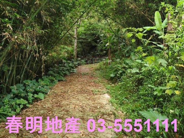 關西農地-6