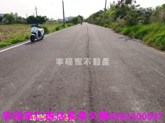 安定農地-9