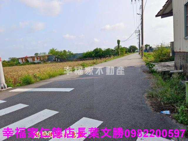 安定農地-1