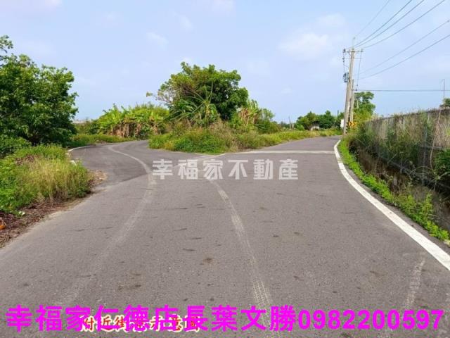 安定農地-5