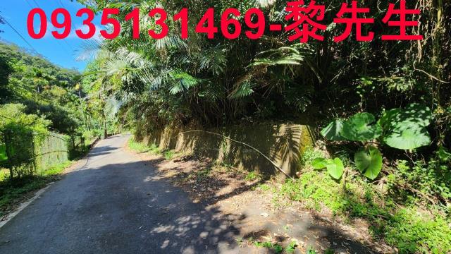 芎林林地-10