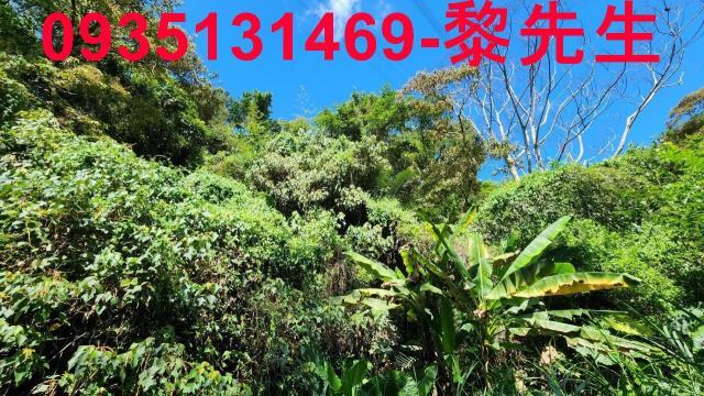 芎林林地-11