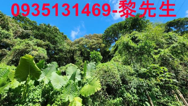 芎林林地-7