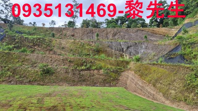 寶山林地-9