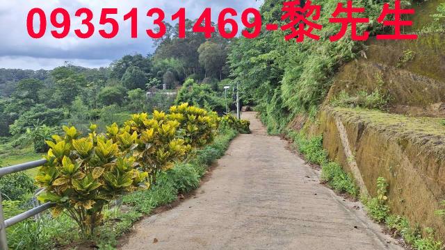 寶山林地-11