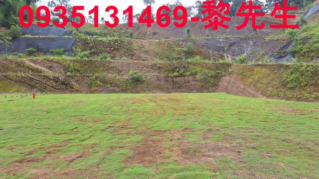 寶山林地-3
