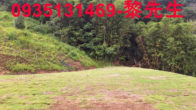 寶山林地-4
