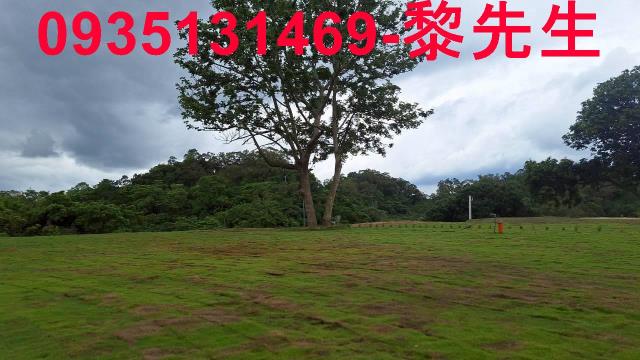 寶山林地-6