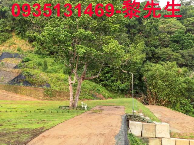 寶山林地-3