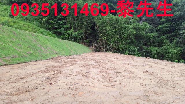 寶山林地-5